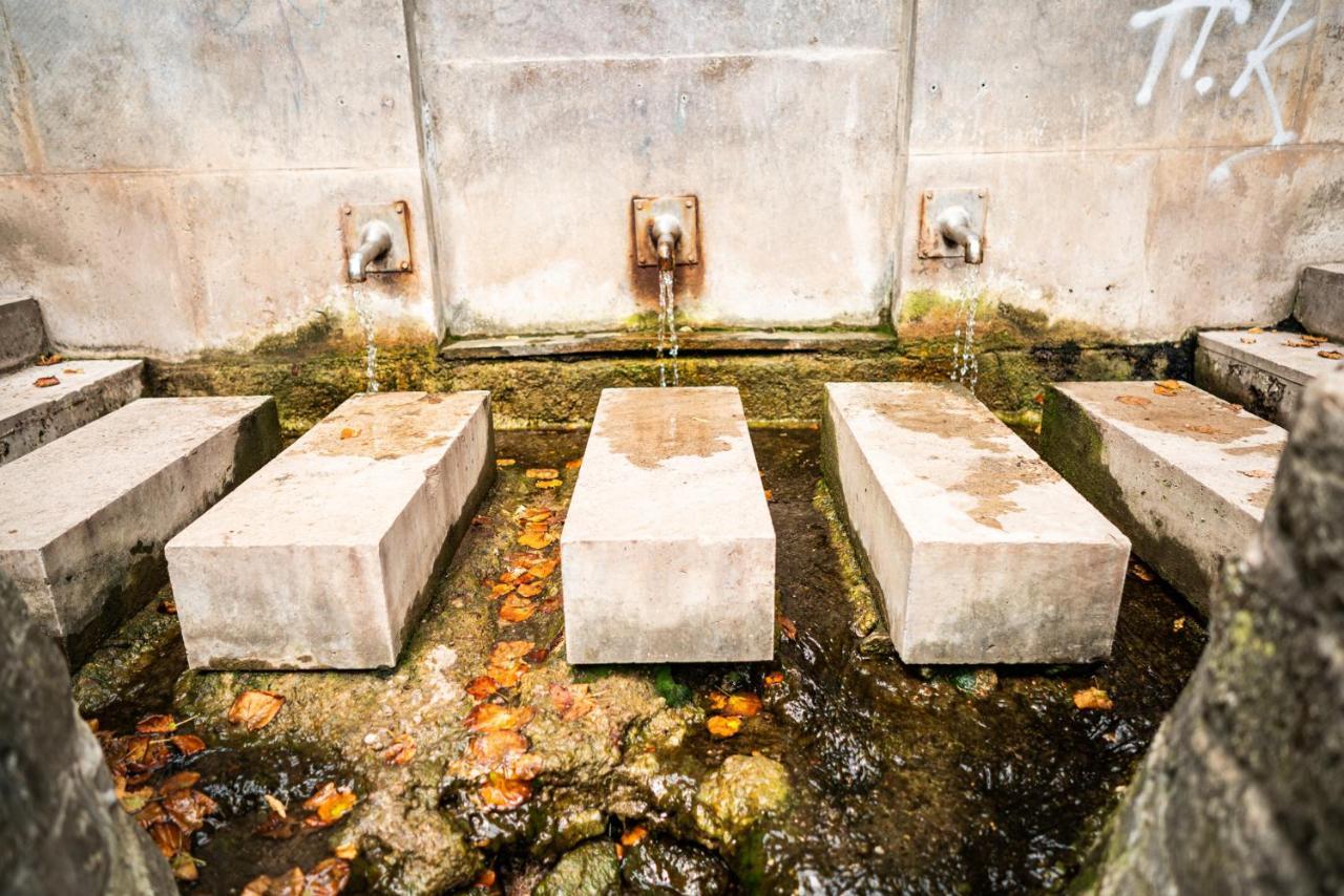 Dreibrunnen Gastehaus Im Luisenpark 호텔 에르푸르트 외부 사진