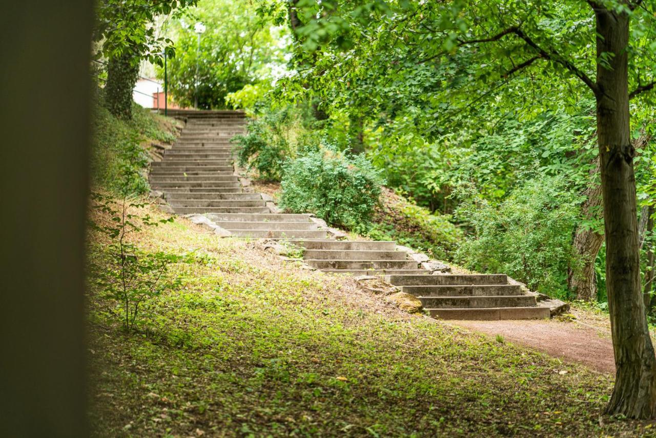Dreibrunnen Gastehaus Im Luisenpark 호텔 에르푸르트 외부 사진